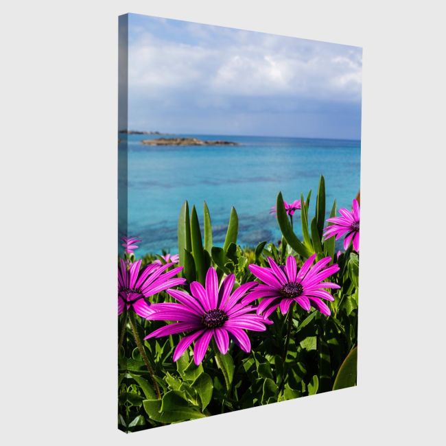 Πίνακας σε καμβά Purple wild flowers on beach