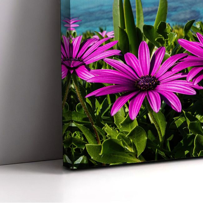 Canvas print Purple wild flowers on beach