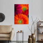 Πίνακας σε καμβά Μαργαρίτες, Daisy-gerbera background