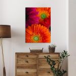 Canvas print Daisy-gerbera background