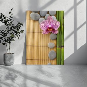 Canvas printPink orchid and gray stones