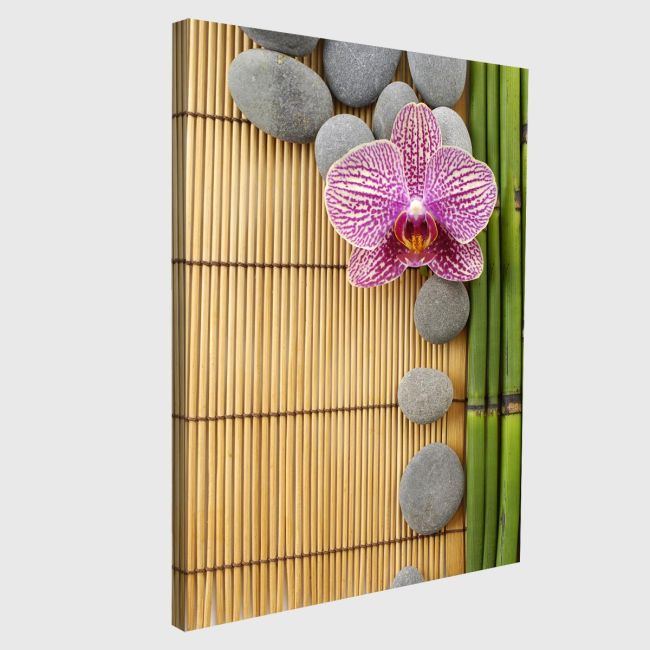 Canvas printPink orchid and gray stones