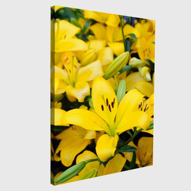 Canvas print Yellow lilies