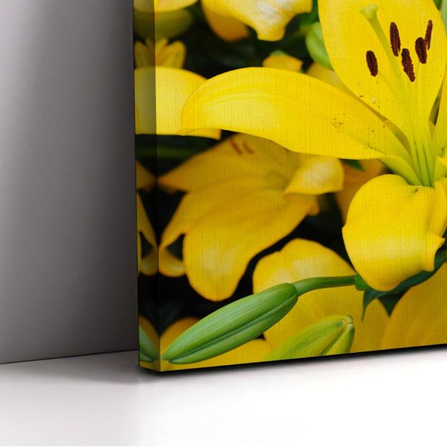 Canvas print Yellow lilies