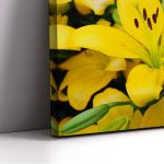 Canvas print Yellow lilies