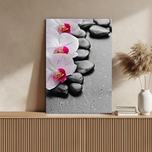 Πίνακας σε καμβά Ορχιδέα, Orchid spa stones