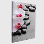 Canvas print Orchid spa stones
