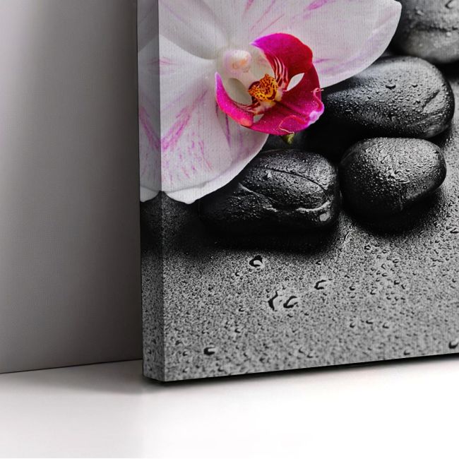 Canvas print Orchid spa stones