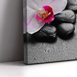Canvas print Orchid spa stones