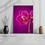 Canvas print Mini orchid on pink background