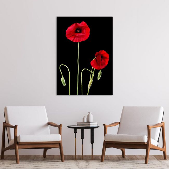 Πίνακας σε καμβά Παπαρούνες, Poppy flowers over black
