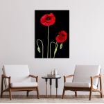 Πίνακας σε καμβά Παπαρούνες, Poppy flowers over black