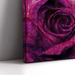 Πίνακας σε καμβά Τριαντάφυλλο. Purple rose