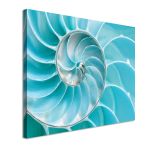 Canvas art: turquoise nautilus shell spiral. Modern coastal decor.