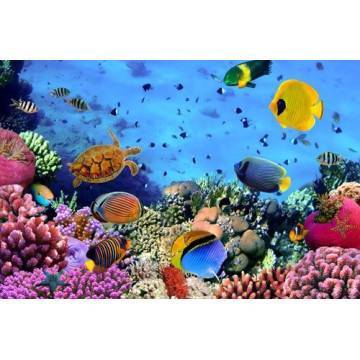 Wallpaper Sea bottom II 2