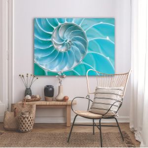 Πίνακας σε Καμβά, Sea Shell, Turquoise 2
