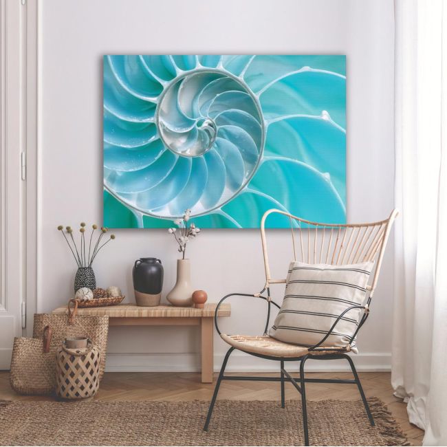 Canvas print , Sea Shell, Turquoise