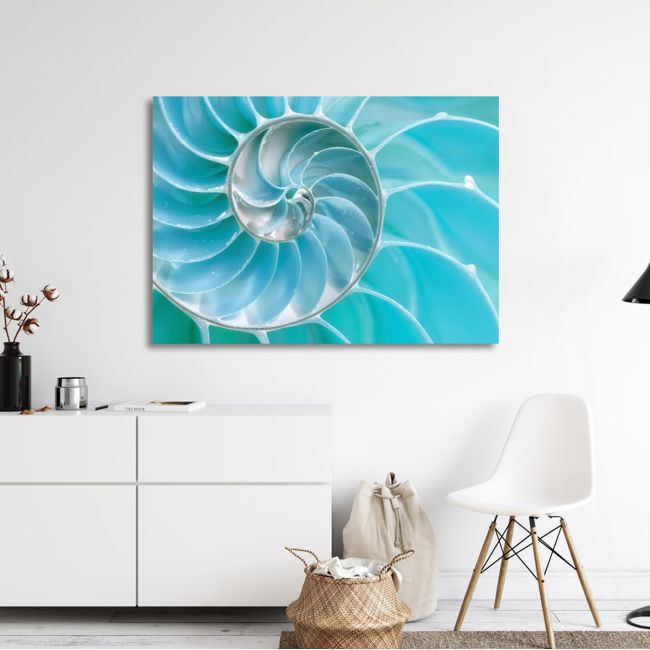 Canvas print , Sea Shell, Turquoise