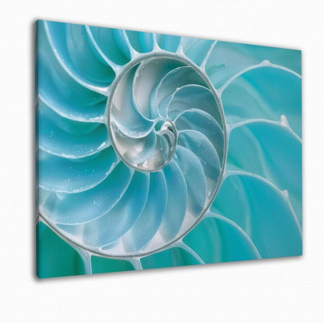 Πίνακας σε Καμβά, Sea Shell, Turquoise