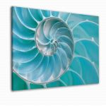 Canvas print , Sea Shell, Turquoise