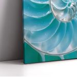 Canvas print , Sea Shell, Turquoise
