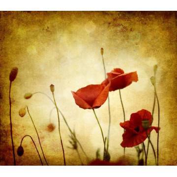 Poppies vintage Laptop skin  2