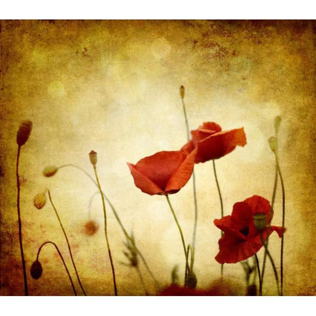Poppies vintage Laptop skin 