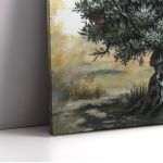 Canvas print Olive tree