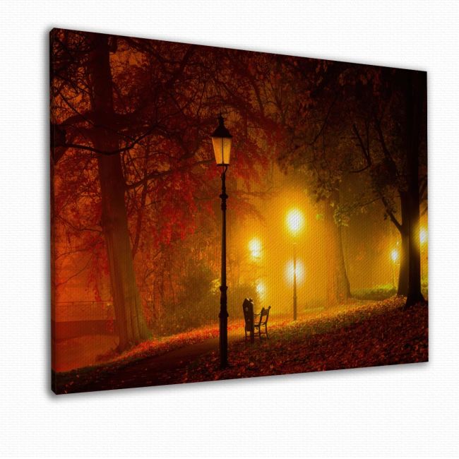 Canvas print Park, Light path