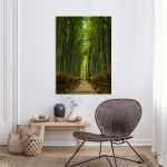 Πίνακας σε καμβά Δάσος Ιαπωνία, Bamboo forest, Japan