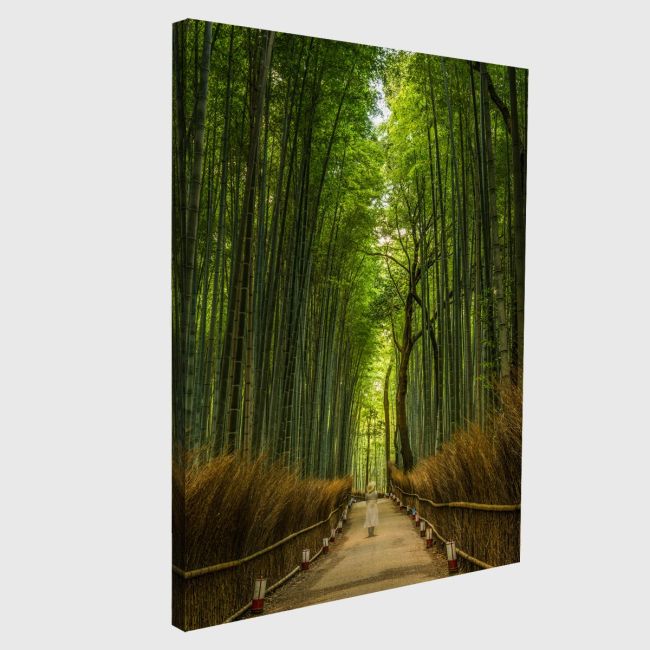 Canvas print Bamboo forest, Japan
