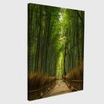 Canvas print Bamboo forest, Japan