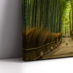 Πίνακας σε καμβά Δάσος Ιαπωνία, Bamboo forest, Japan