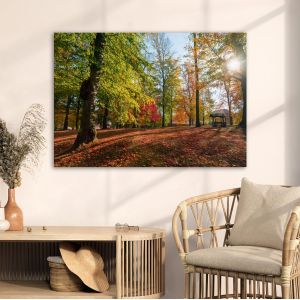 Canvas print Autumn landscape, Autumn landscape