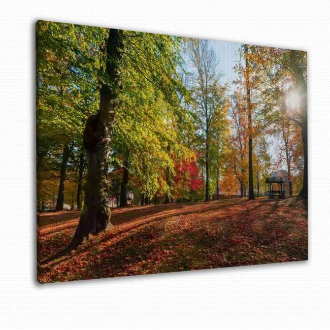 Canvas print Autumn landscape, Autumn landscape