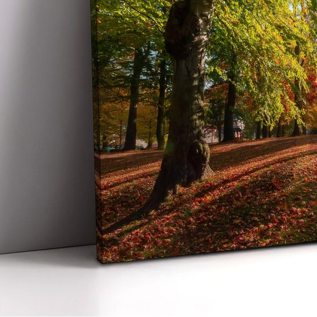 Canvas print Autumn landscape, Autumn landscape