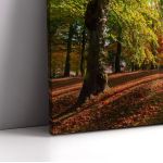 Canvas print Autumn landscape, Autumn landscape