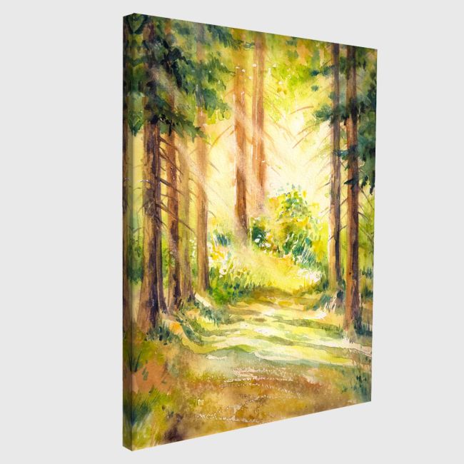Πίνακας σε καμβά Ηλιόλουστο μονοπάτι, Sunny forest path