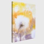 Πίνακας σε καμβά πικραλίδες, Dandelions on a field