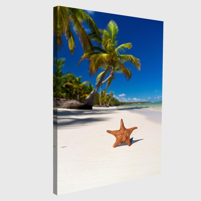 Πίνακας σε καμβά Καραϊβική, Starfish on caribbean sea beach