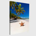 Canvas printStarfish on caribbean sea beach
