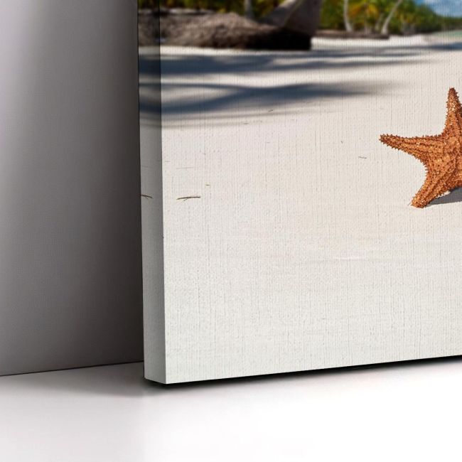 Canvas printStarfish on caribbean sea beach