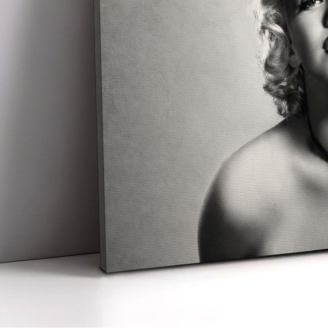 Πίνακας σε καμβά Marilyn Monroe in gray