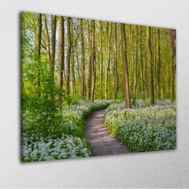 Πίνακας σε καμβά Δάσος με λουλούδια, Forest with blooming white flowers