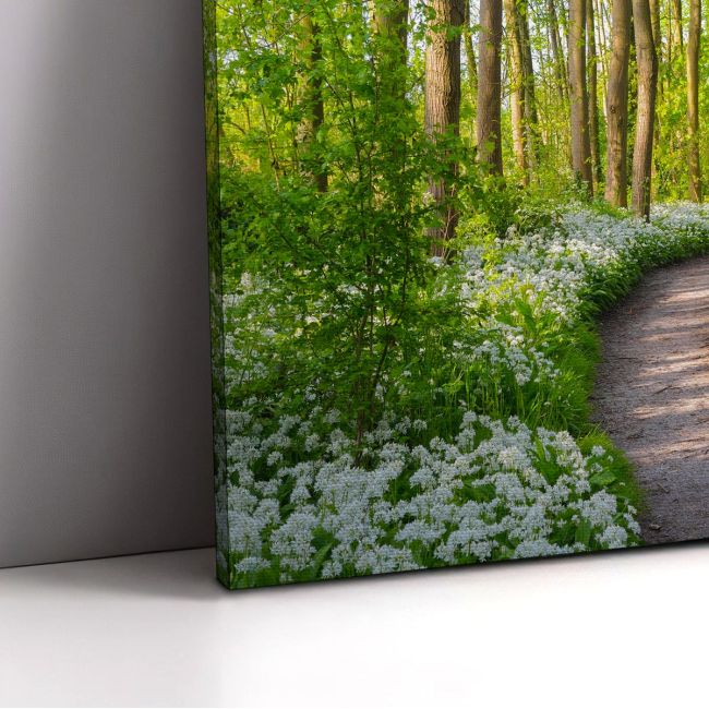 Canvas print Forest with blooming white flowers