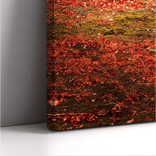Canvas print Red forest,3 panels
