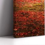 Πίνακας σε καμβά Red forest, τρίπτυχος