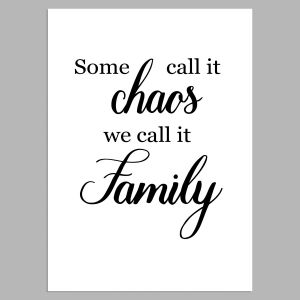 Some call it chaos we call it family, Poster 2
