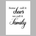 Some call it chaos we call it family, Poster