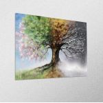 Canvas print Four season tree